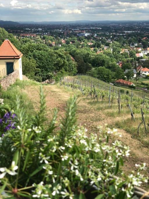 Wohlfuehl-Apartment Am Paradiesberg راديبول المظهر الخارجي الصورة
